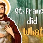 What's the Story of St. Francis?